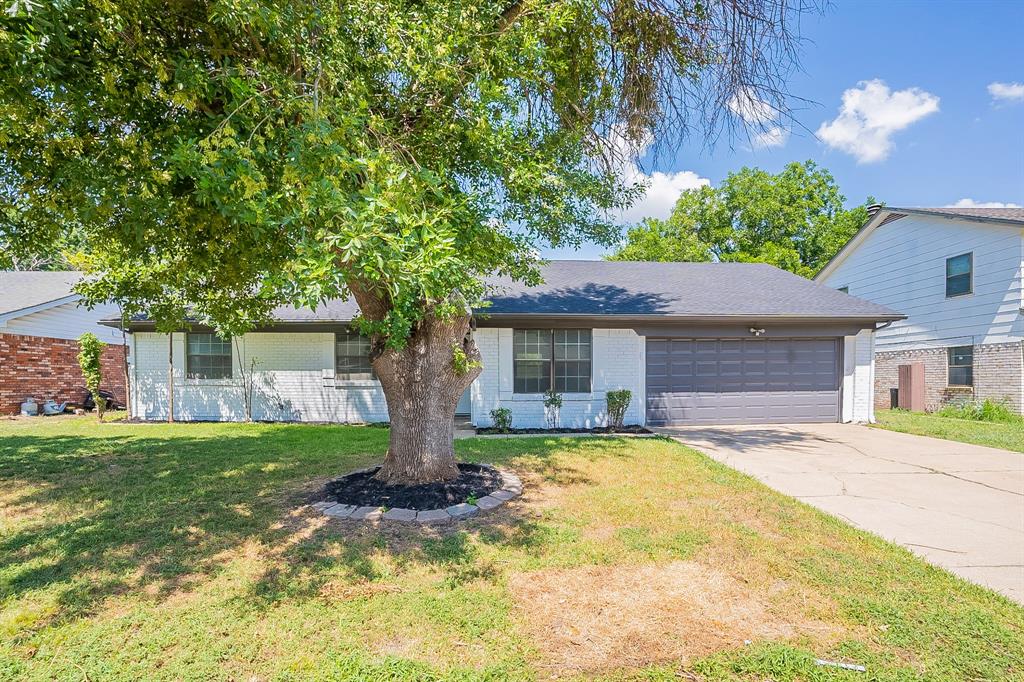 a house that has a tree in front of it