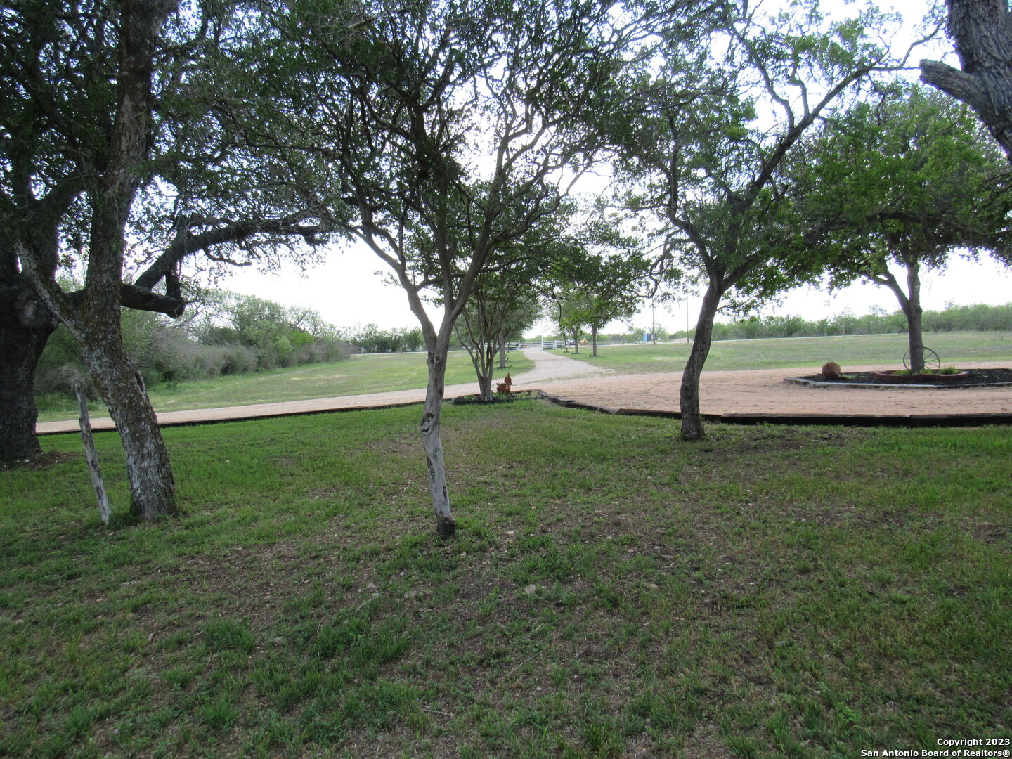 a view of outdoor space with trees all around