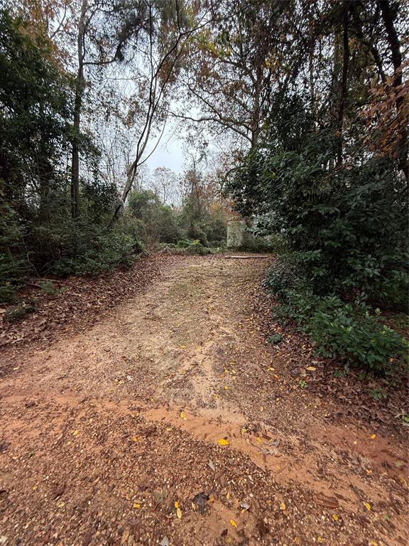 a view of dirt yard with a trees