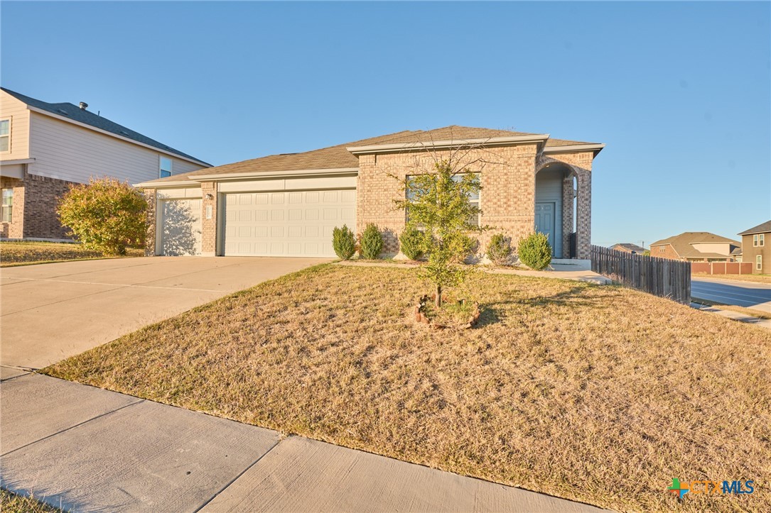 a view of back yard of the house