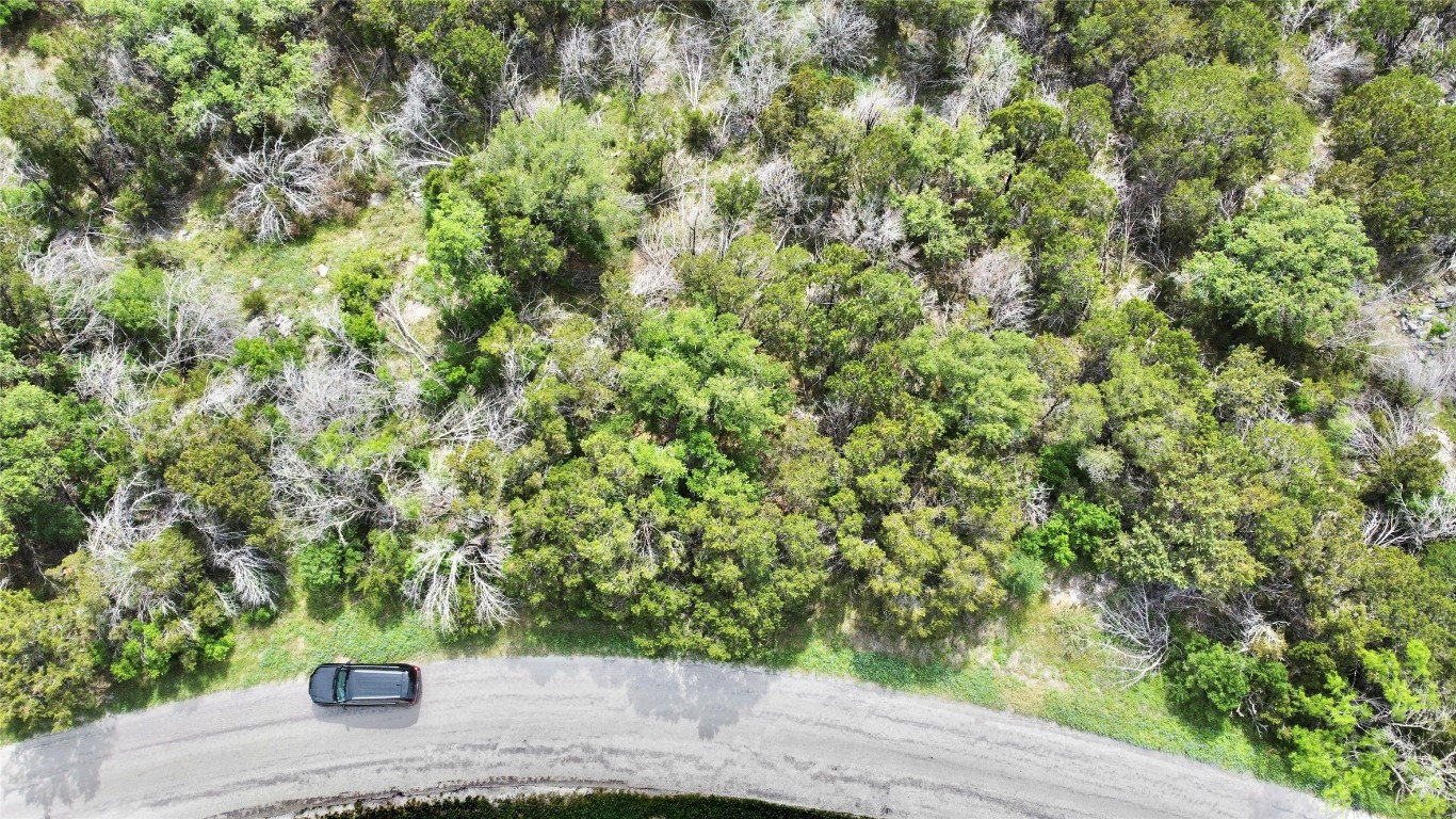 a view of a tree with a tree