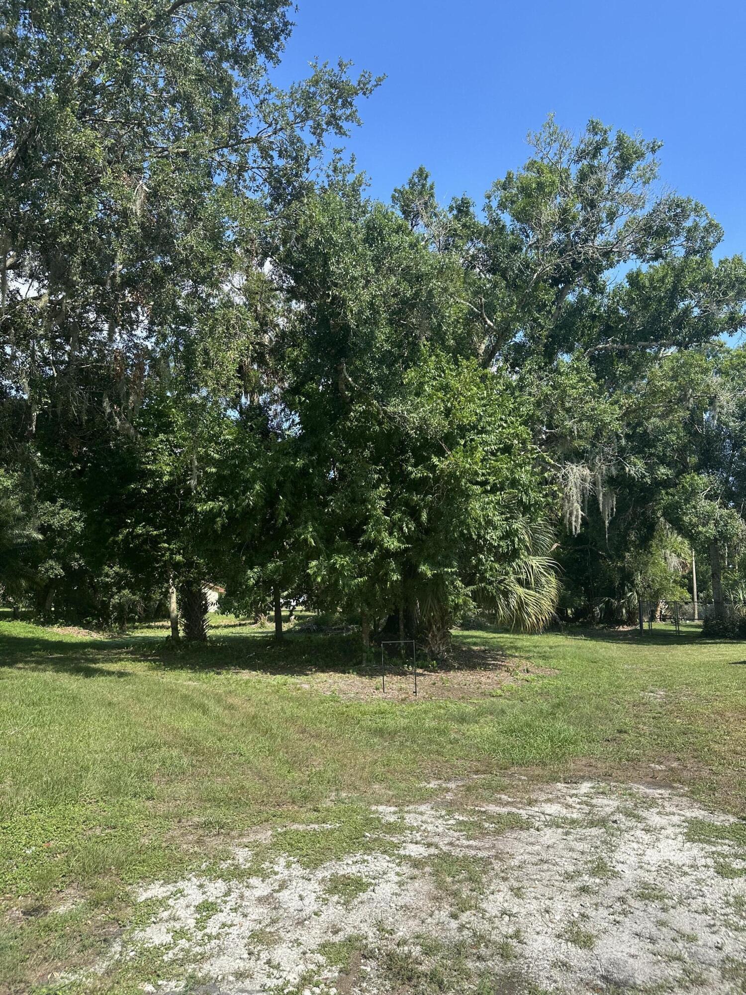 a view of a field with trees in the background