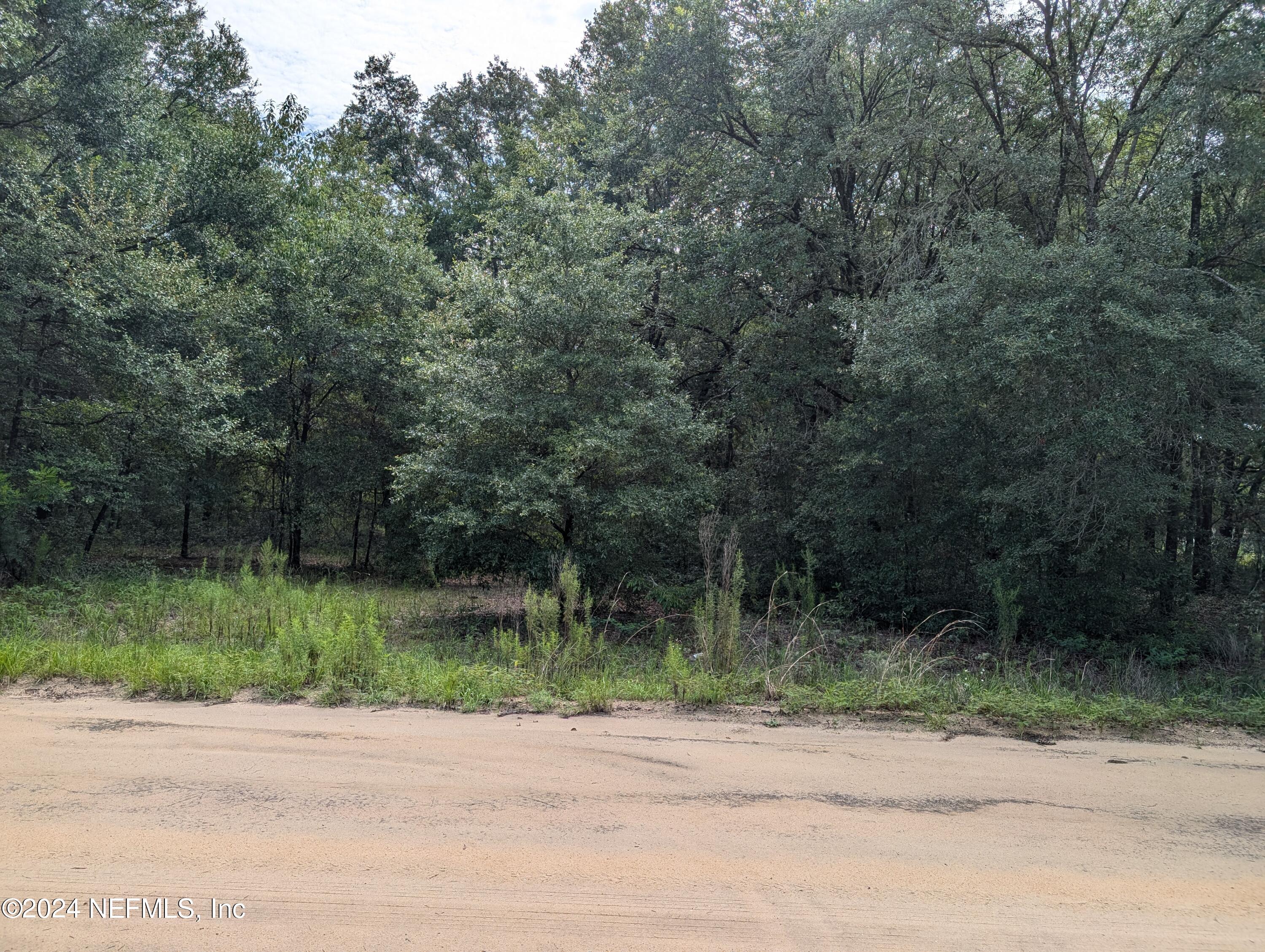 a view of a yard with a trees