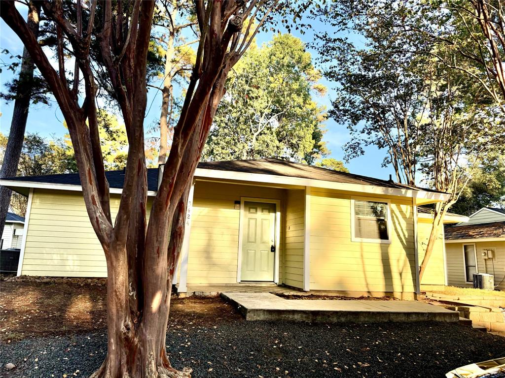 front view of a house with a large tree