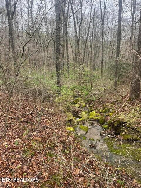 Cry leike property for 2025 sale on glade creek road