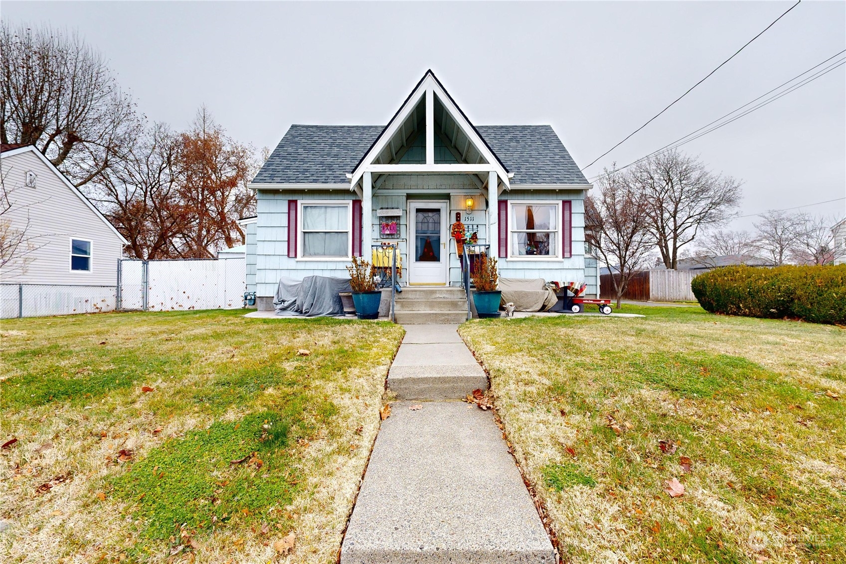 a front view of a house with a yard potted plants and large tree