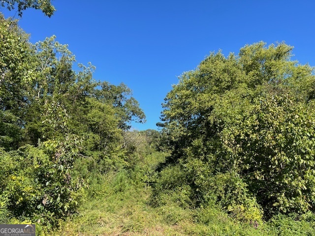 a view of a green field