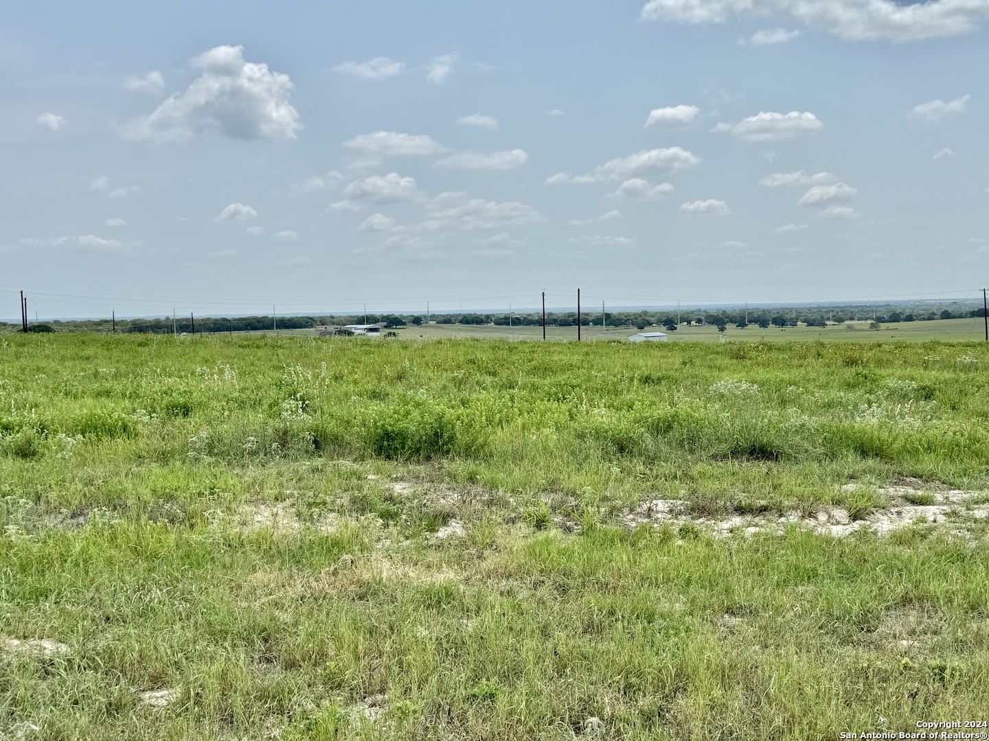 a view of a big yard with lots of green space and wooden fence