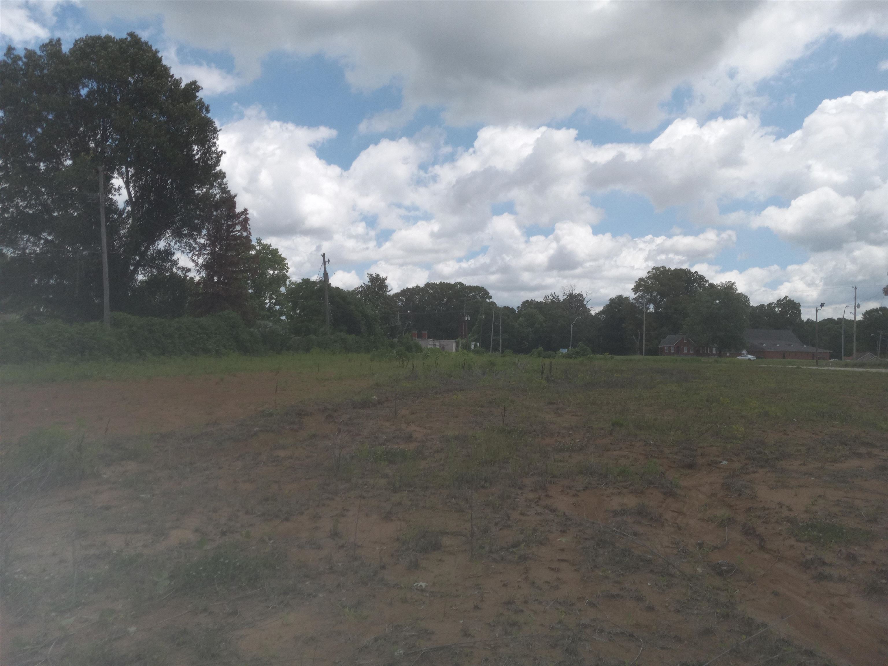 a view of a field of grass and trees