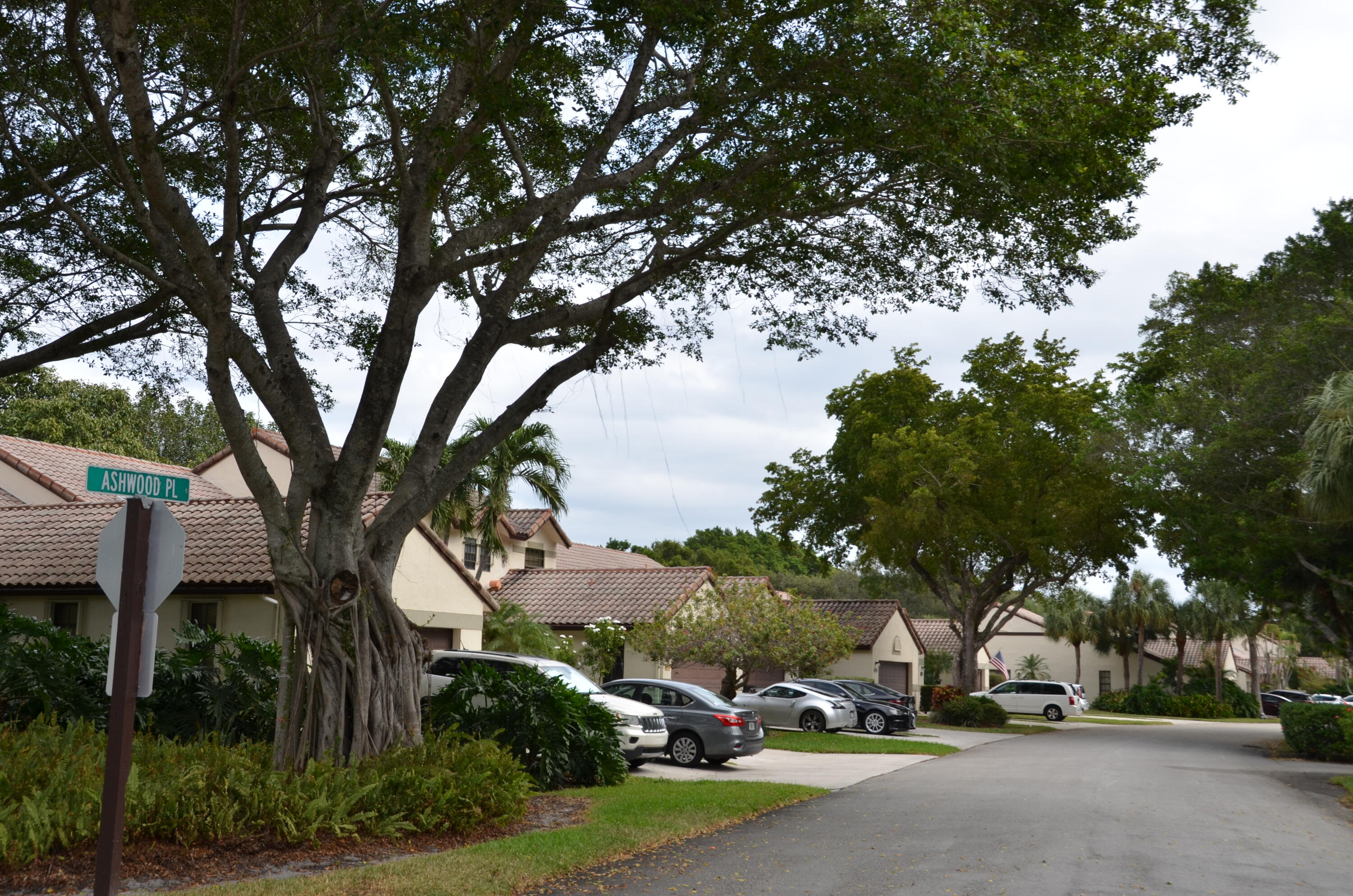 a view of a street with houses