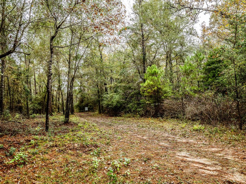 a view of empty room with trees