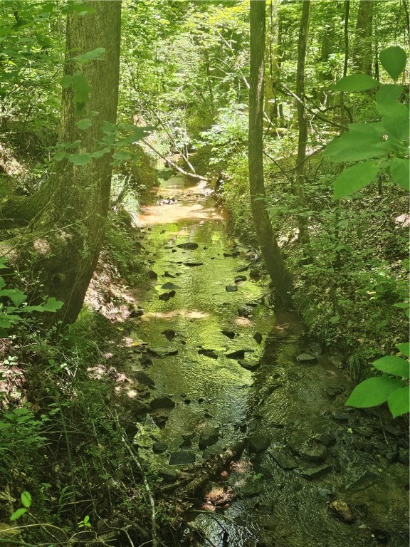 Creek on the back side of the property