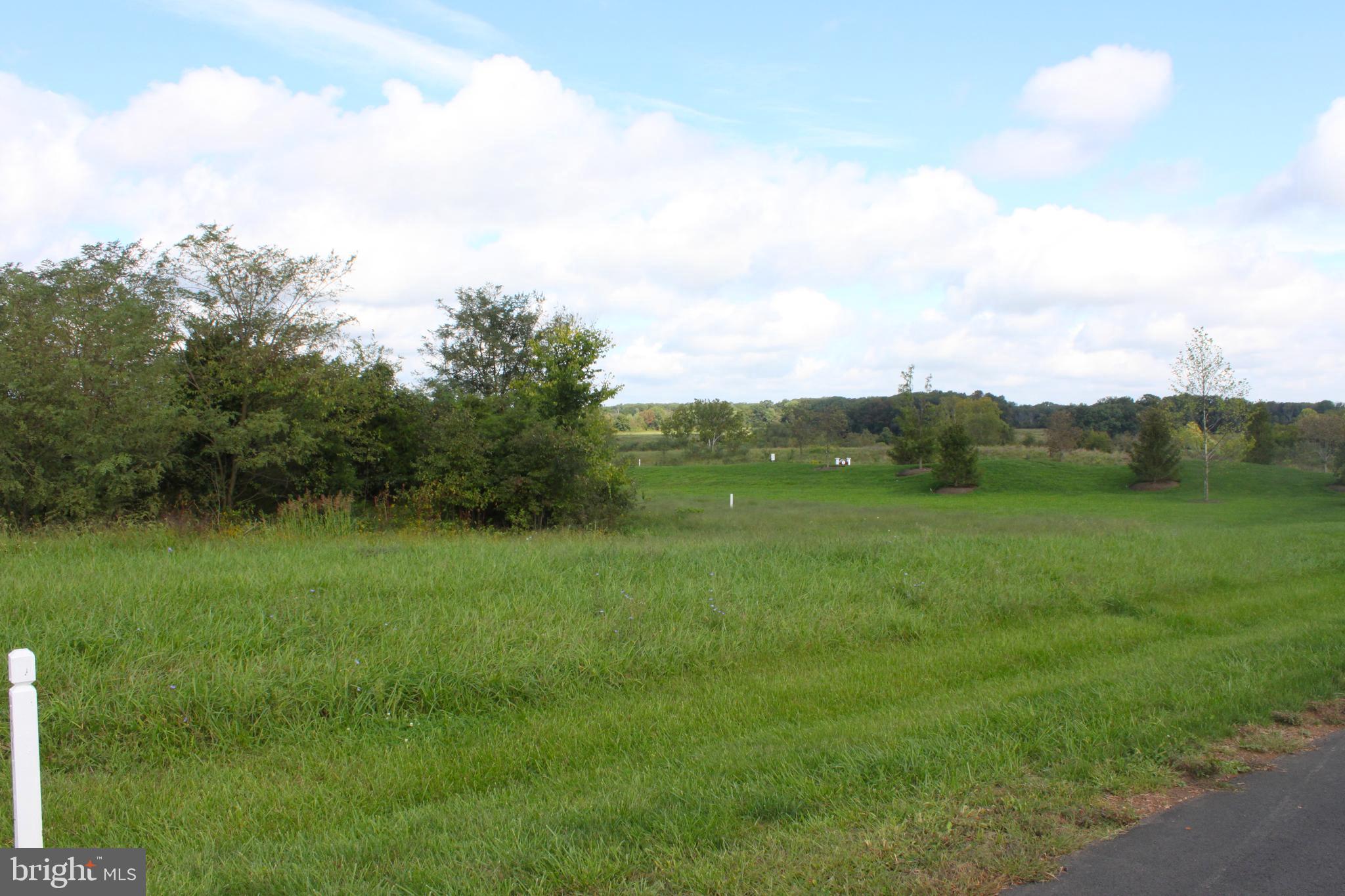 a view of a grassy field with trees