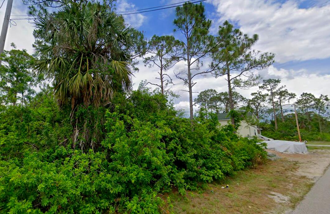 a view of a yard