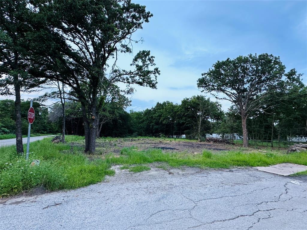 a view of a yard with a tree