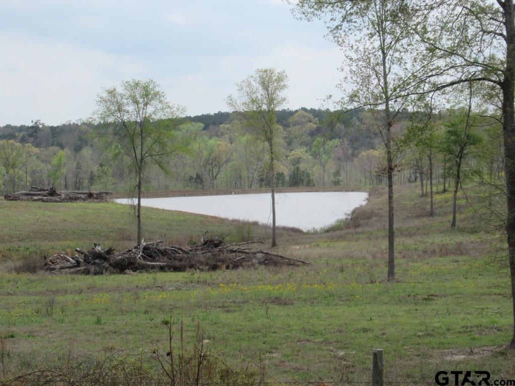 a view of a field