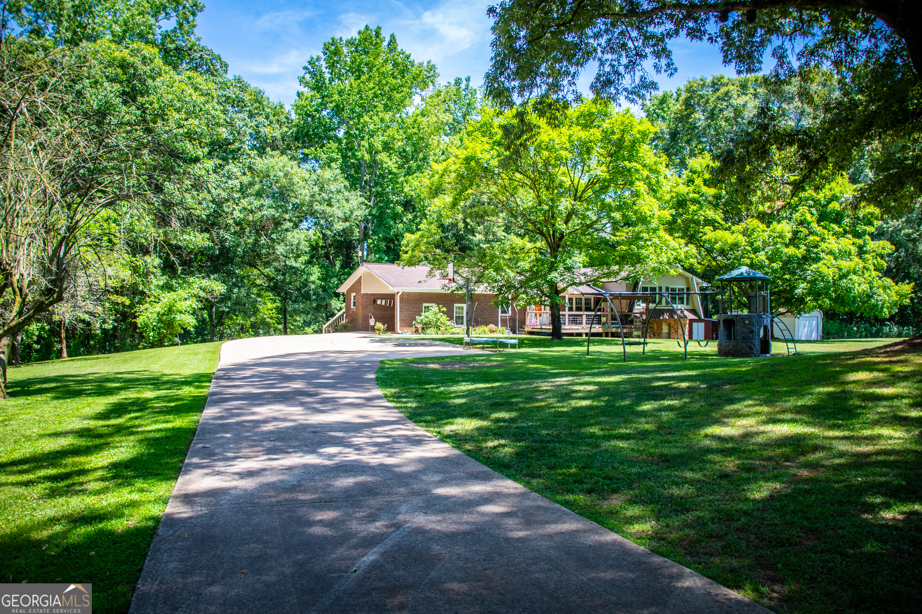 a view of a yard with plants and large trees