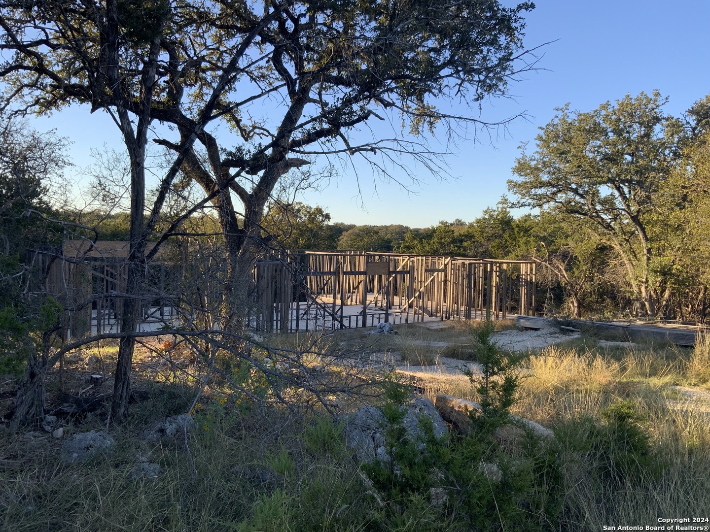 a view of a backyard with large tree