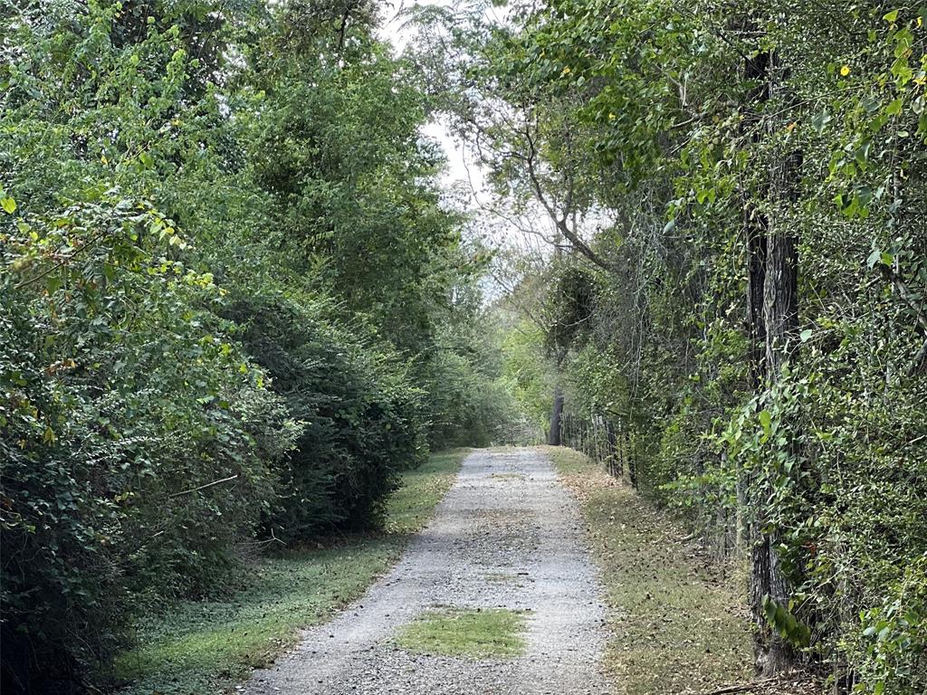 a view of an outdoor space with trees