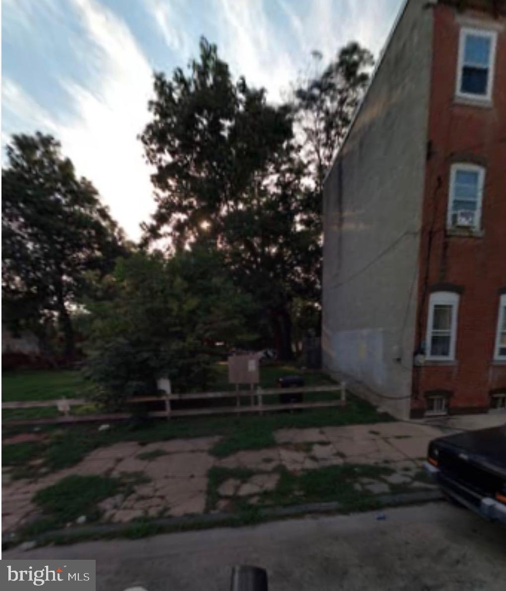 a view of a yard with plants and trees