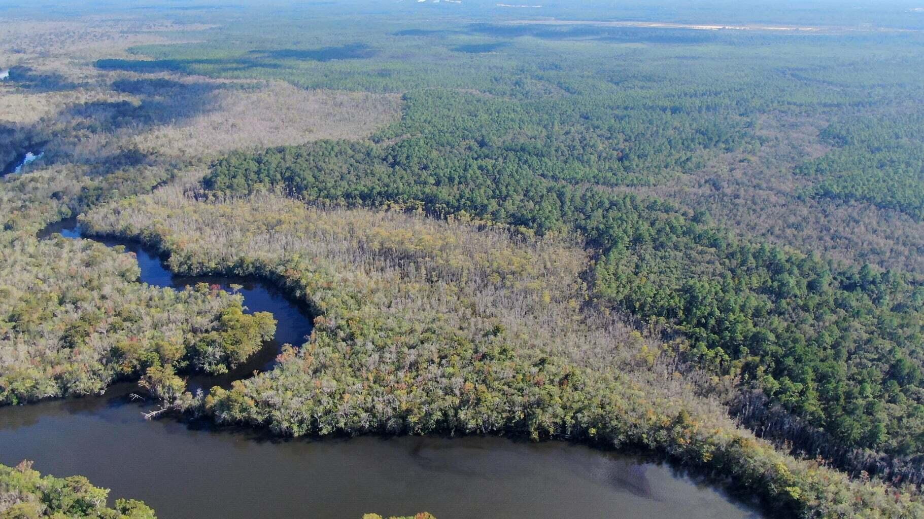 a view of a yard next to a lake