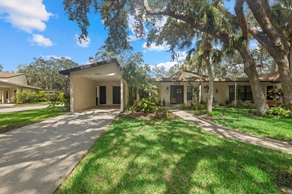 a view of a yard in front of house