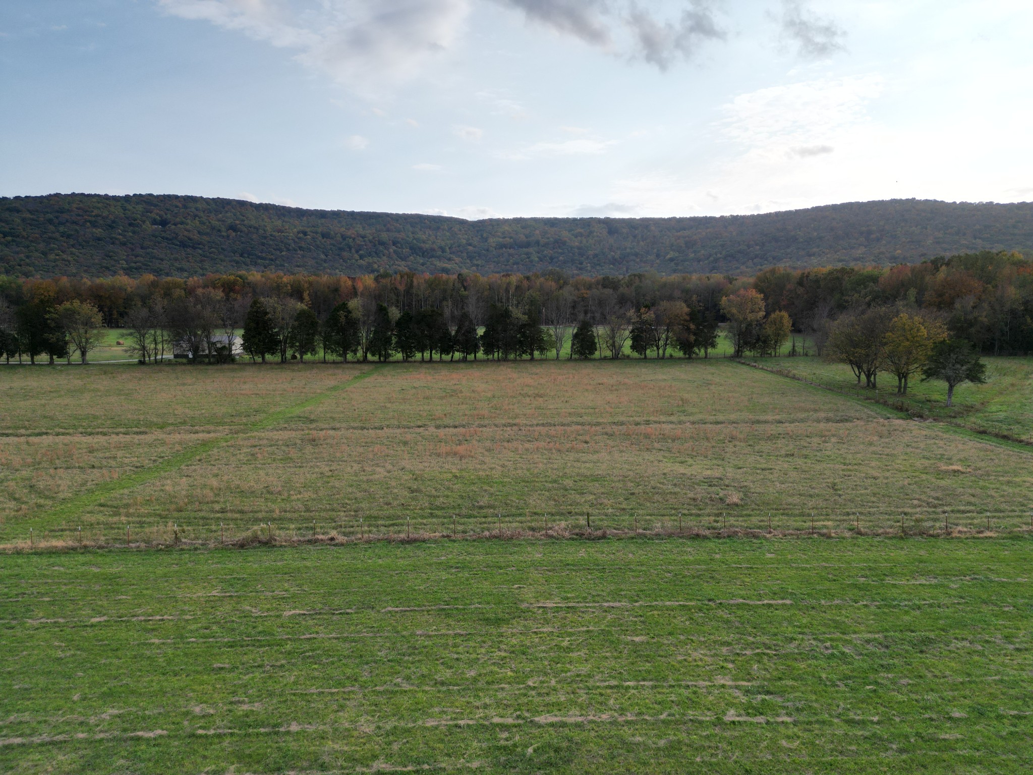 a view of an outdoor space and a yard