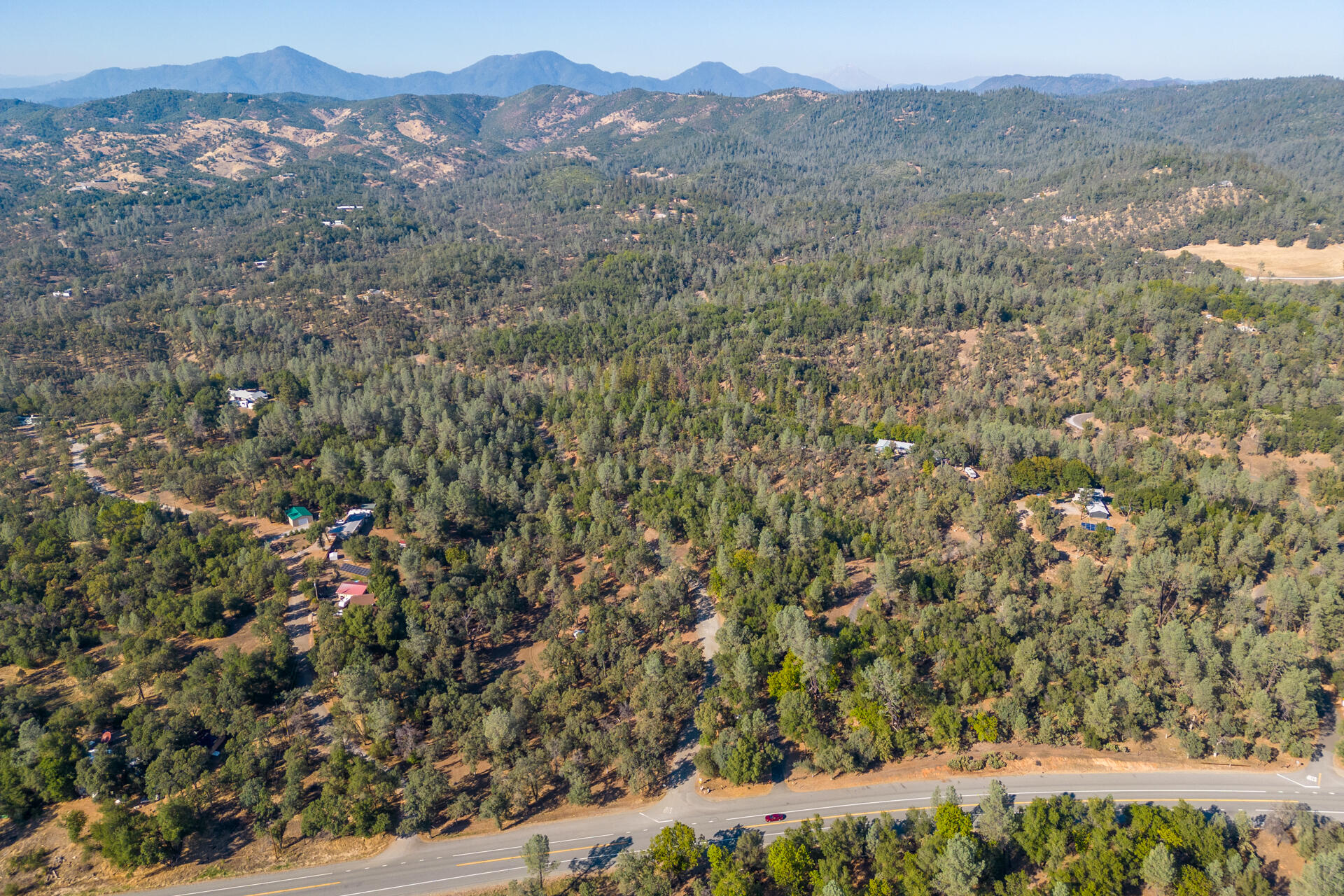 a view of a forest with a mountain in the background