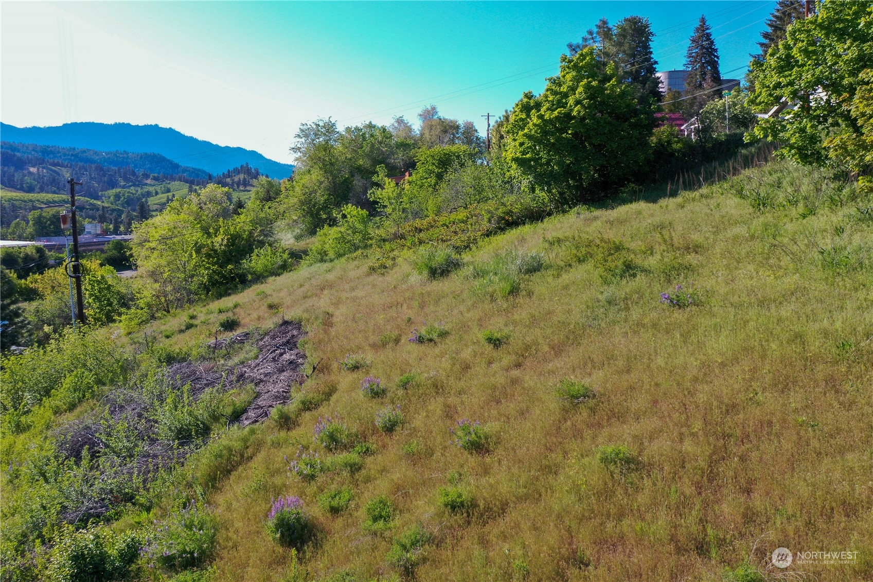 a view of a lush green hillside and a houses