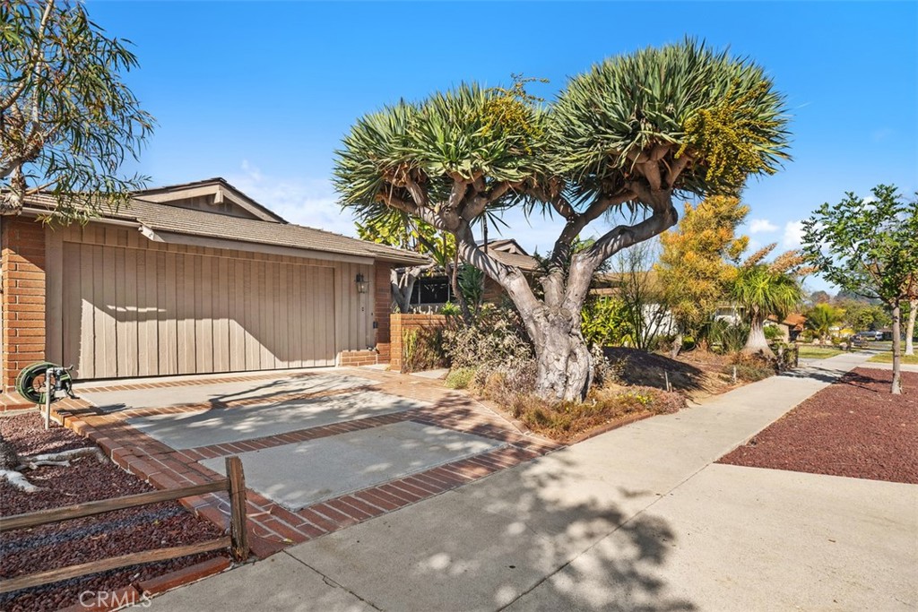 a view of a house with a tree