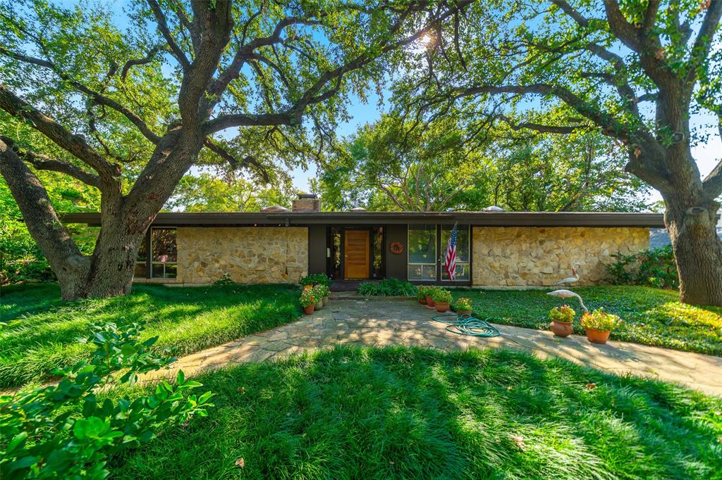 a view of a yard with a large tree