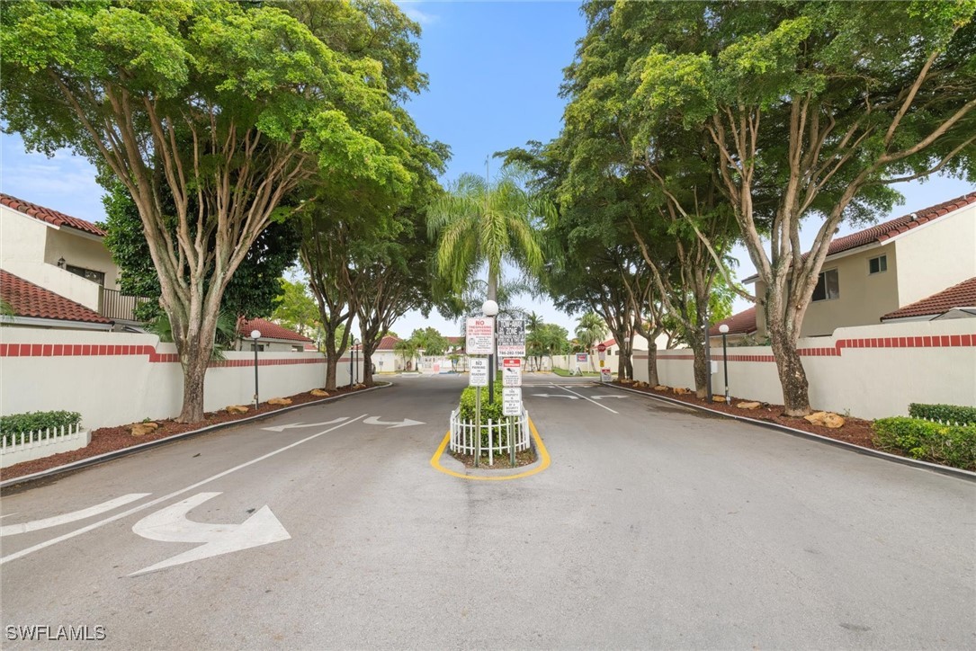 a park view with a large tree