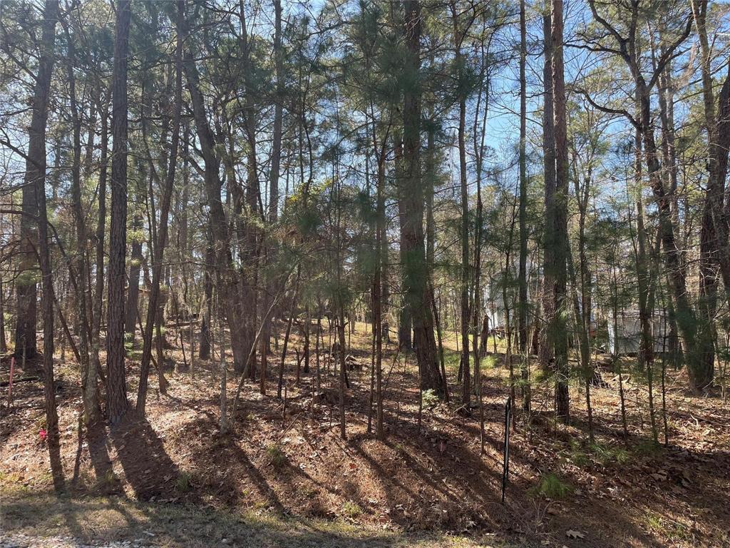 a view of outdoor space with lots of trees