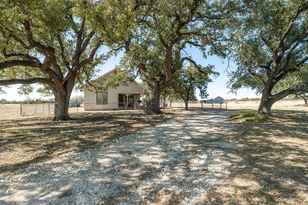 a view of a yard with a tree