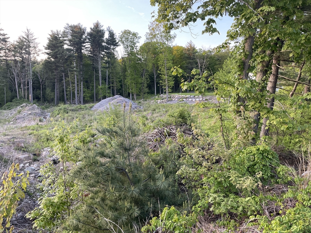 a view of a garden