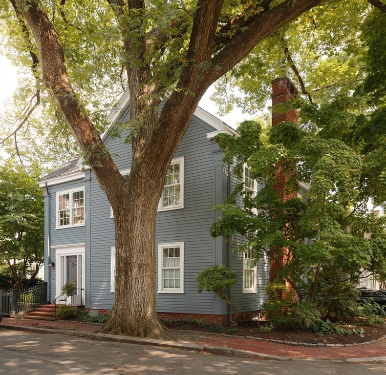 a tree in front of a white house