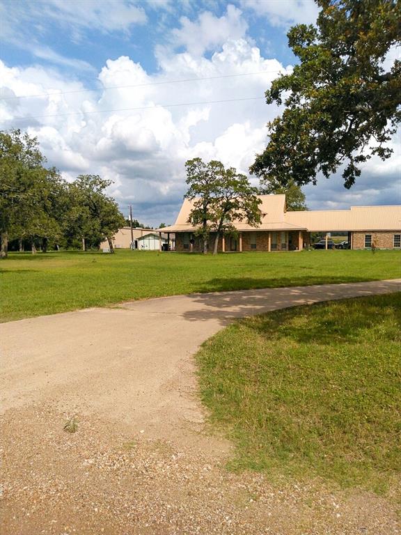 a view of a big yard and a large trees