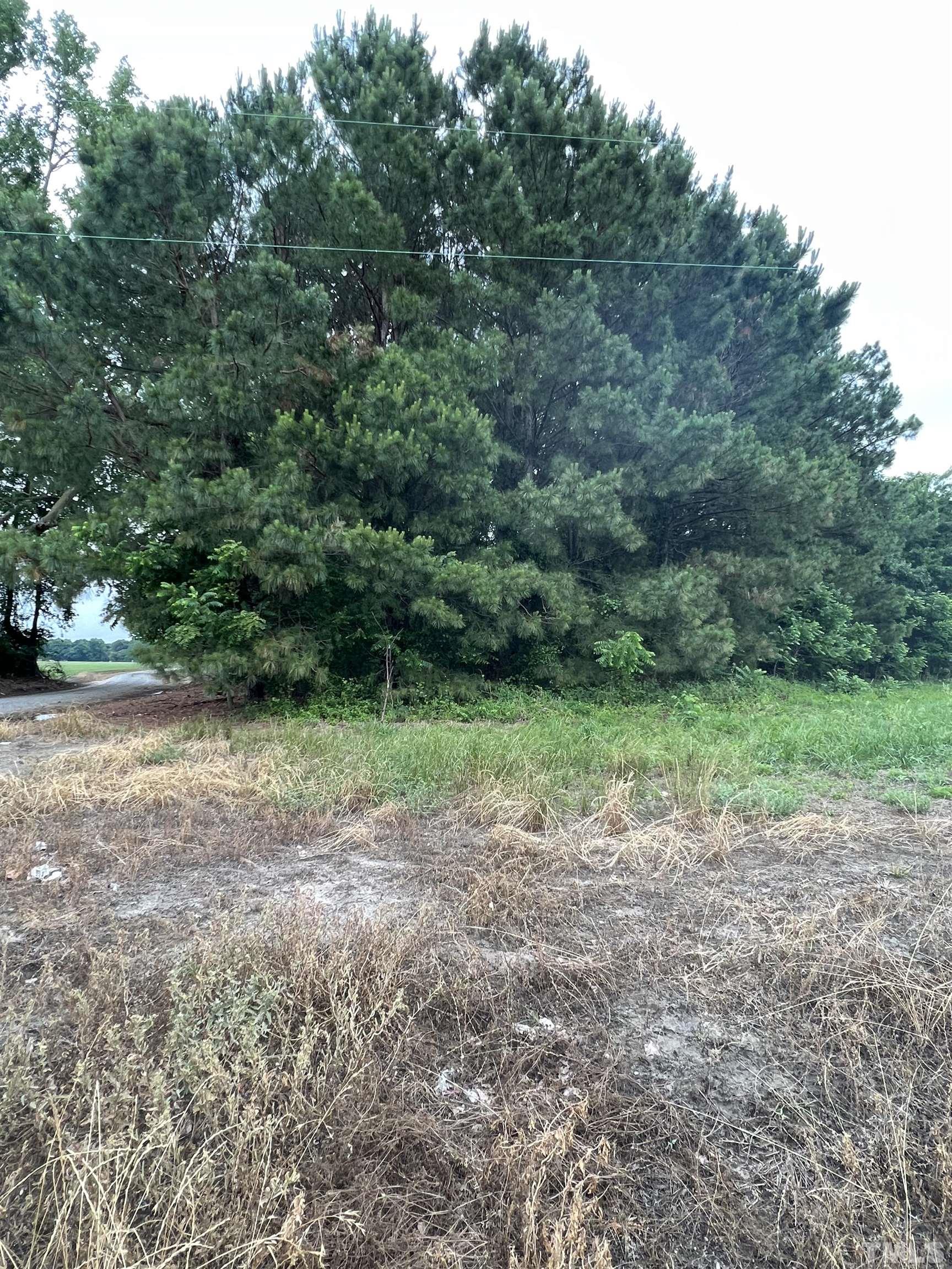 a view of a yard with a tree