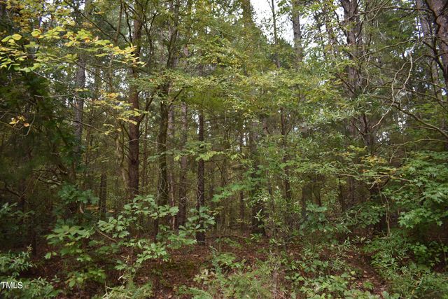 $125,000 | Tbd Tom Stevens Road | Albright Township - Chatham County