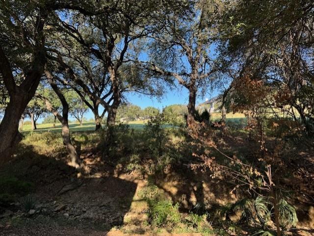 a view of a tree in a yard