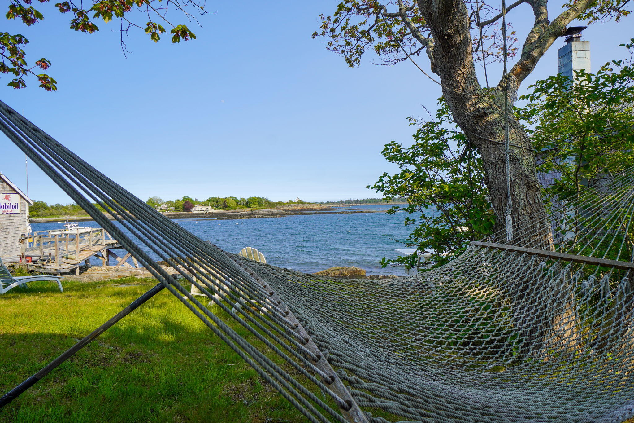 Hammock