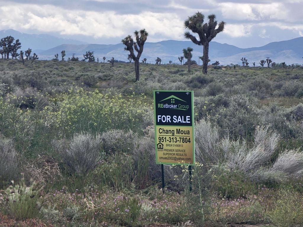 a view of a sign board