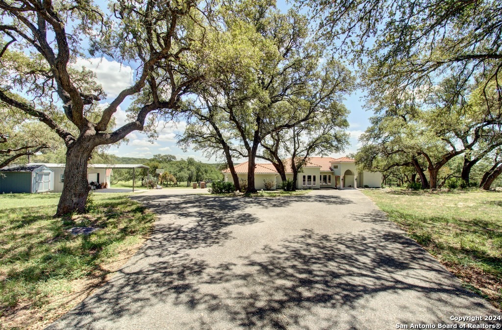 a view of a yard with trees