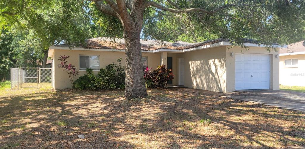 a view of a house with a tree in front