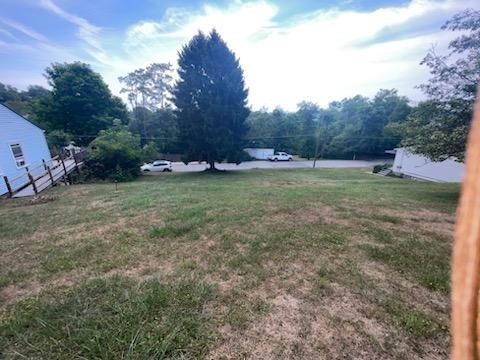 a view of a field with large trees