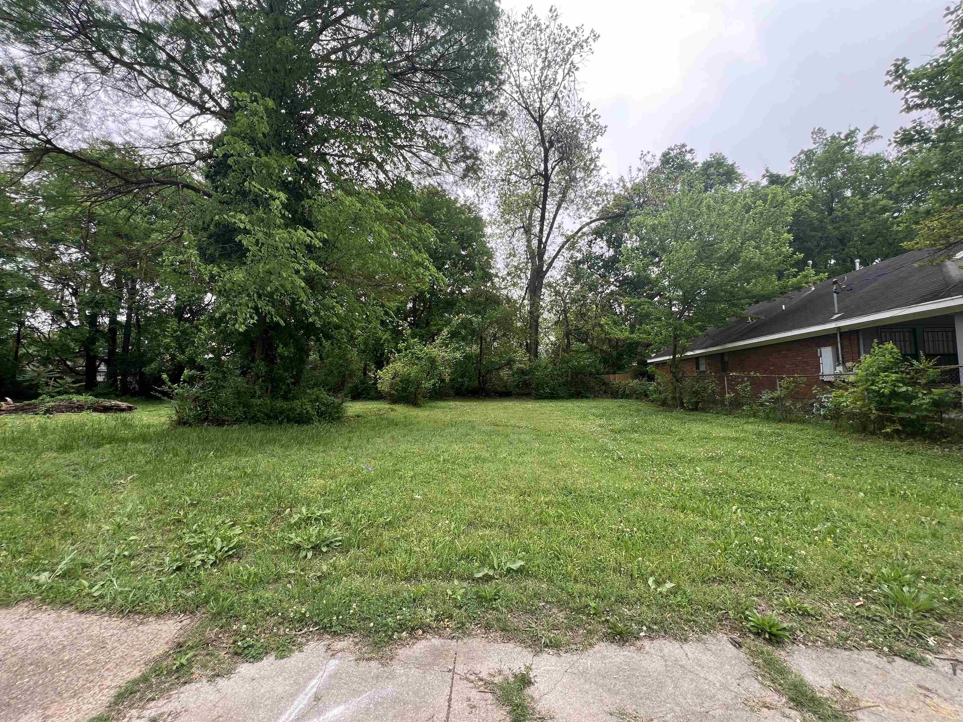 a view of a backyard