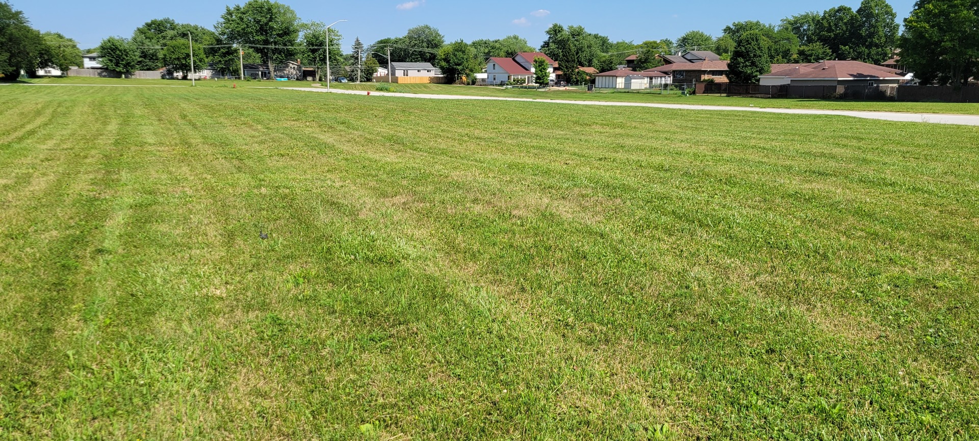 a view of field with grass and trees