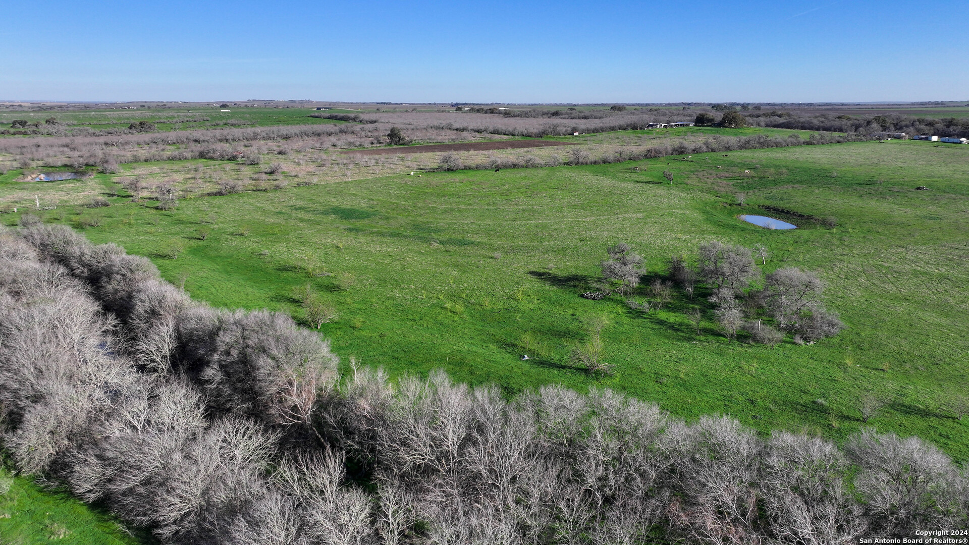 a view of a field with an ocean