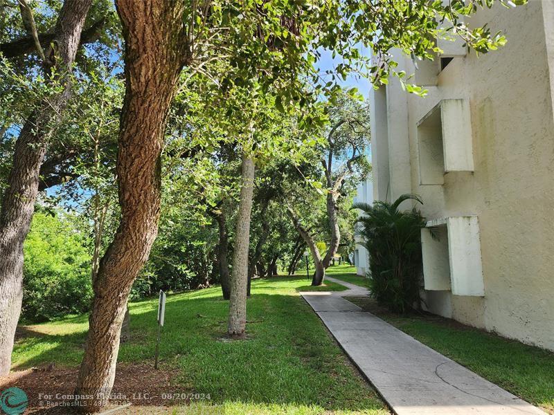 a view of a yard with a tree