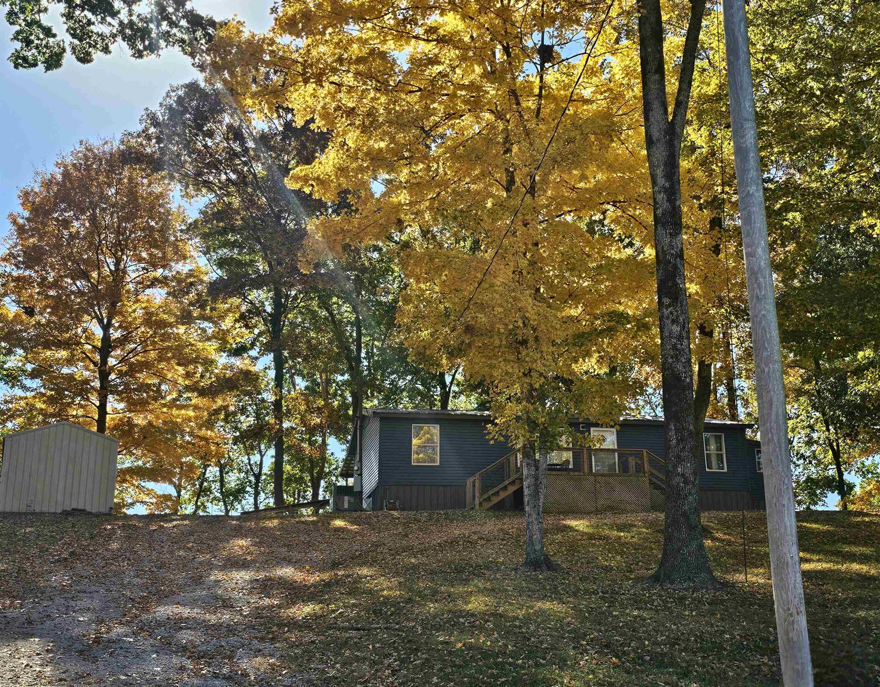 a view of a tree in front of a house